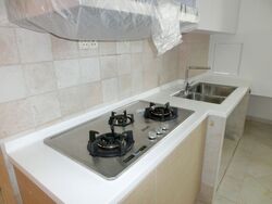 Cairnhill Plaza (D9), Apartment #553149821